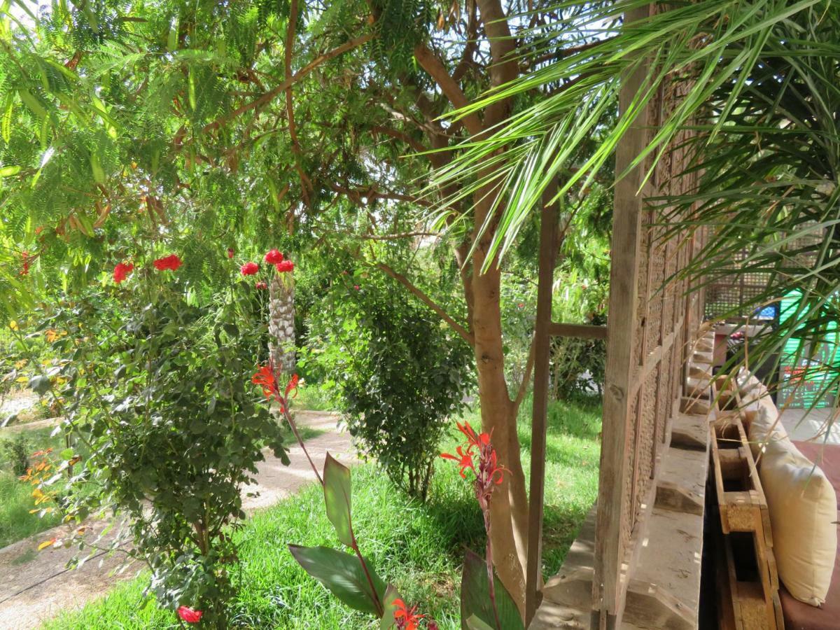 Ibis Tlemcen Hotel Ngoại thất bức ảnh